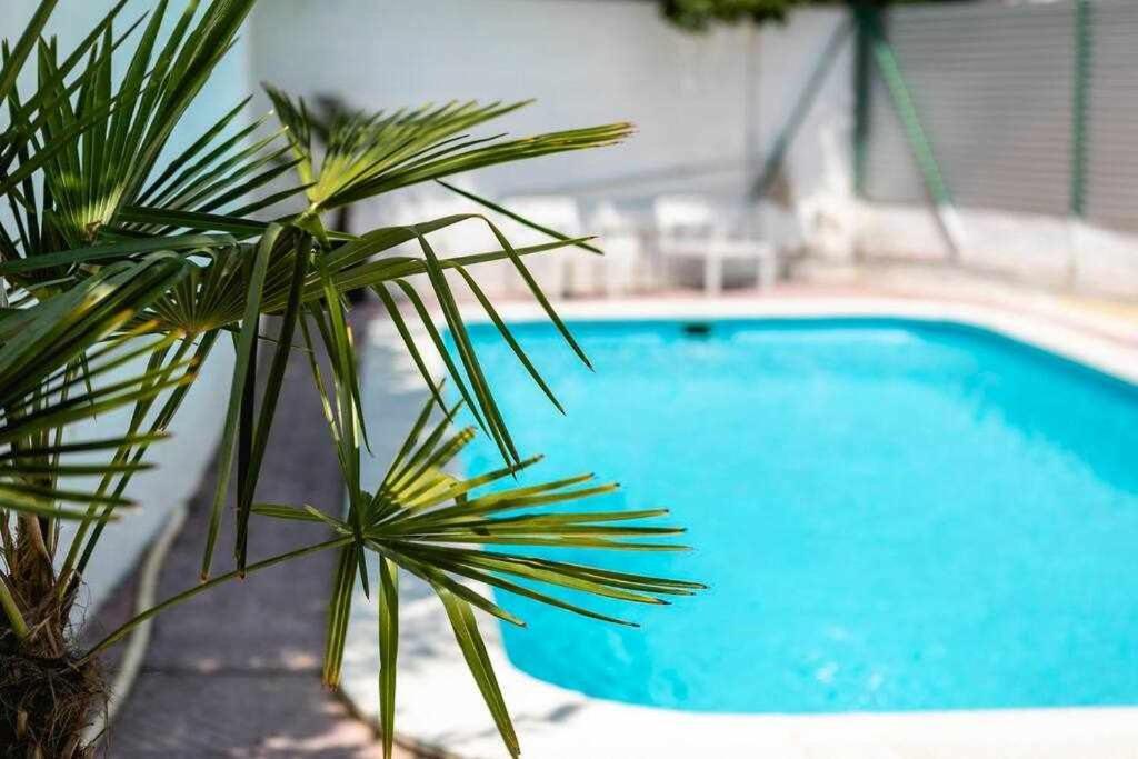ז'ירונה Newly Renovated Room W Pool & Bikeparking מראה חיצוני תמונה